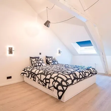 Zilt - A Brand New Near The Sea Ostende